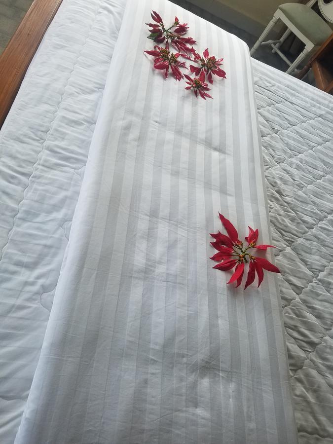 Lam Phan Hotel Villa 大叻 外观 照片